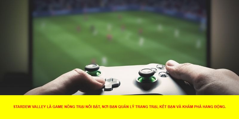 Khởi đầu nông trại và khám phá thung lũng
