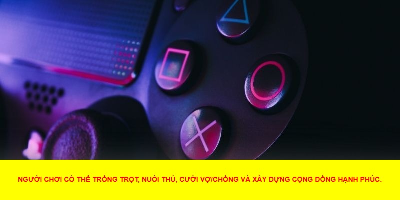 Câu cá, săn tìm kho báu và mỏ sâu