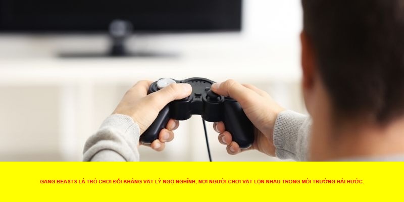Giới thiệu về Gang Beasts