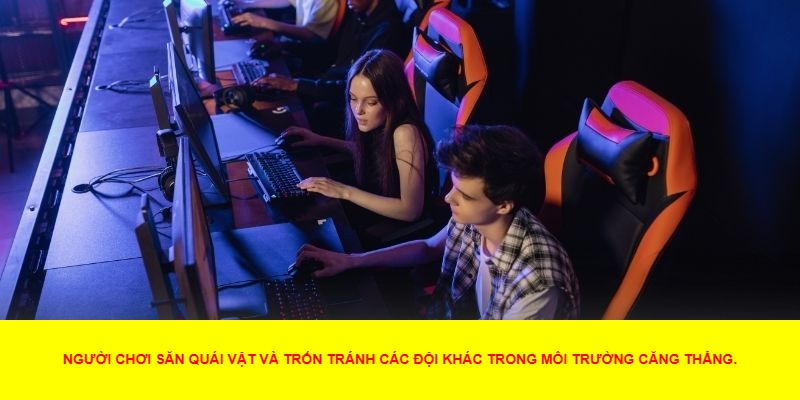 Đồ họa, âm thanh và cộng đồng